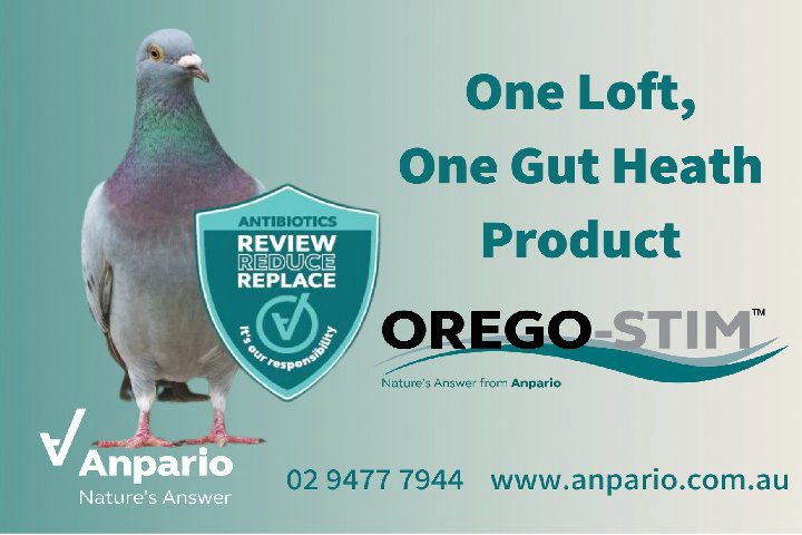 https://www.anpario.com.au/
