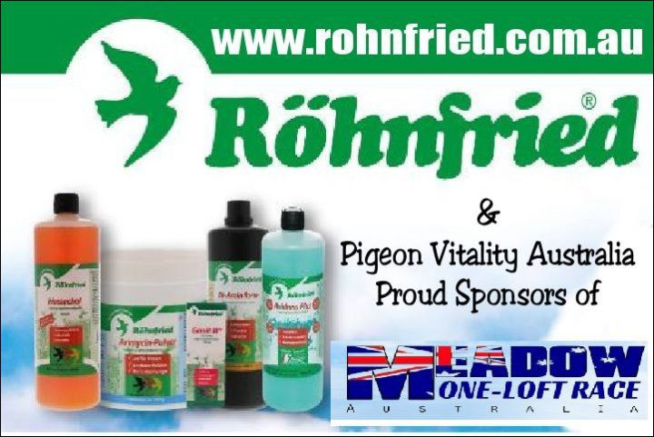 https://www.pigeonvitality.com.au/